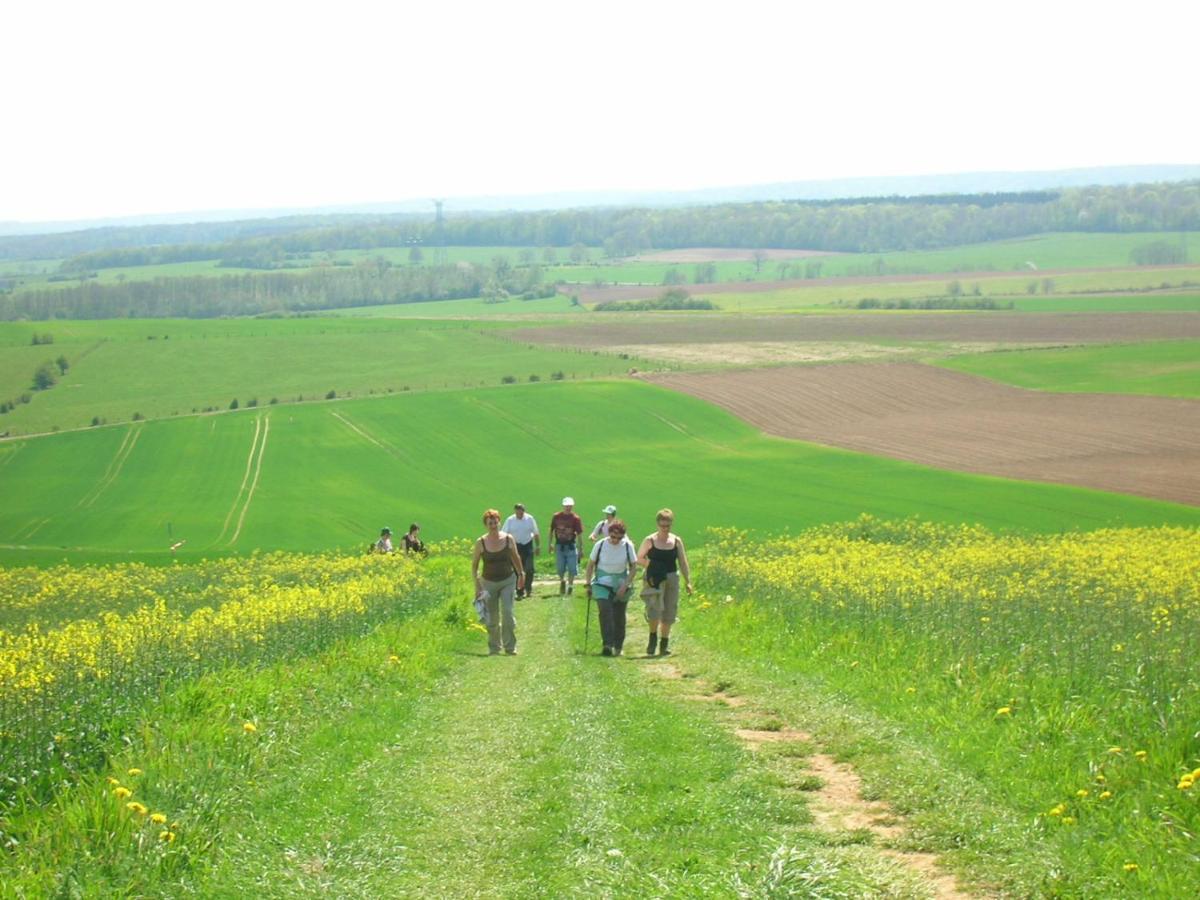 Gîte La Volette Moulins-Saint-Hubert Esterno foto