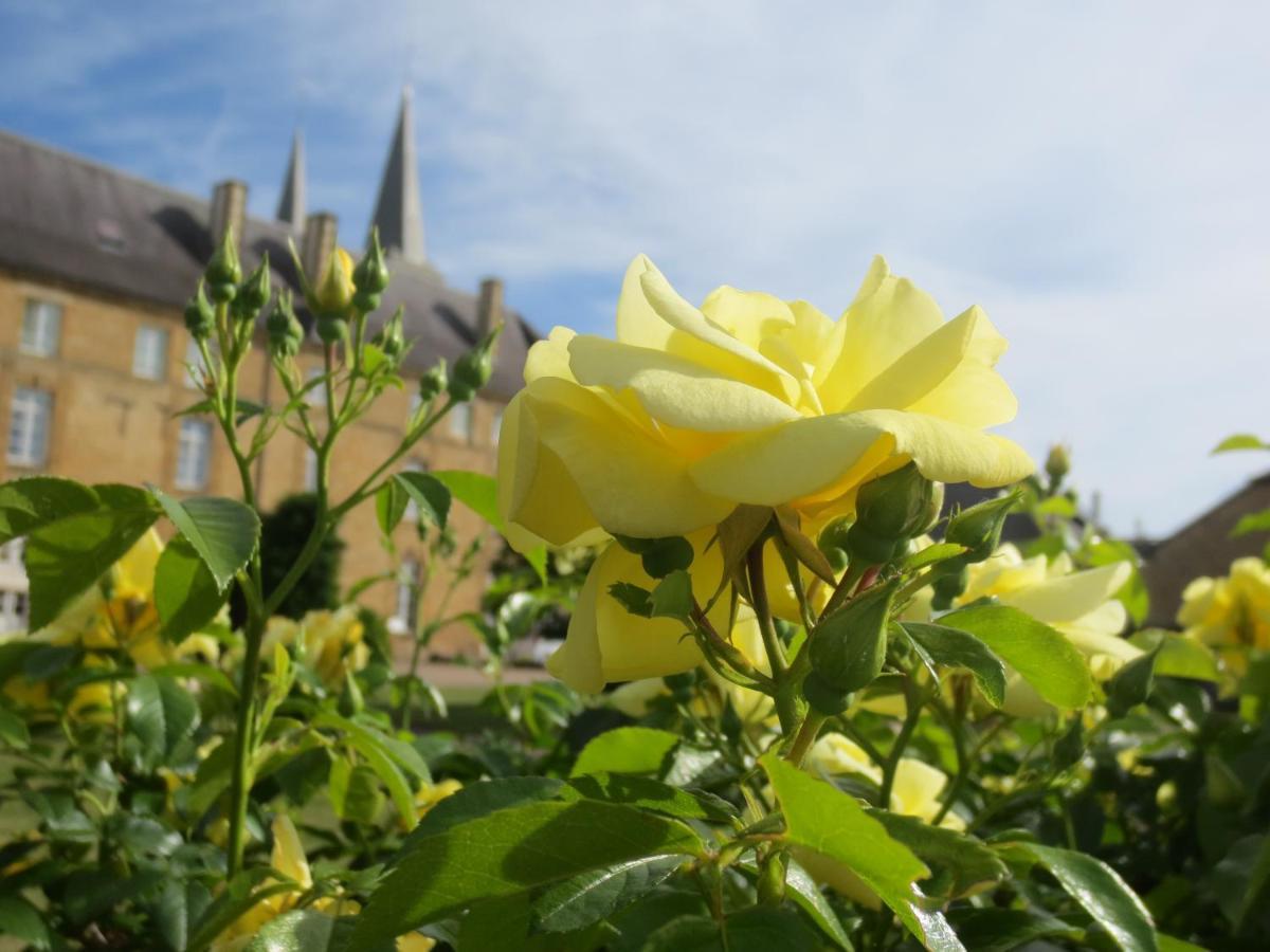 Gîte La Volette Moulins-Saint-Hubert Esterno foto