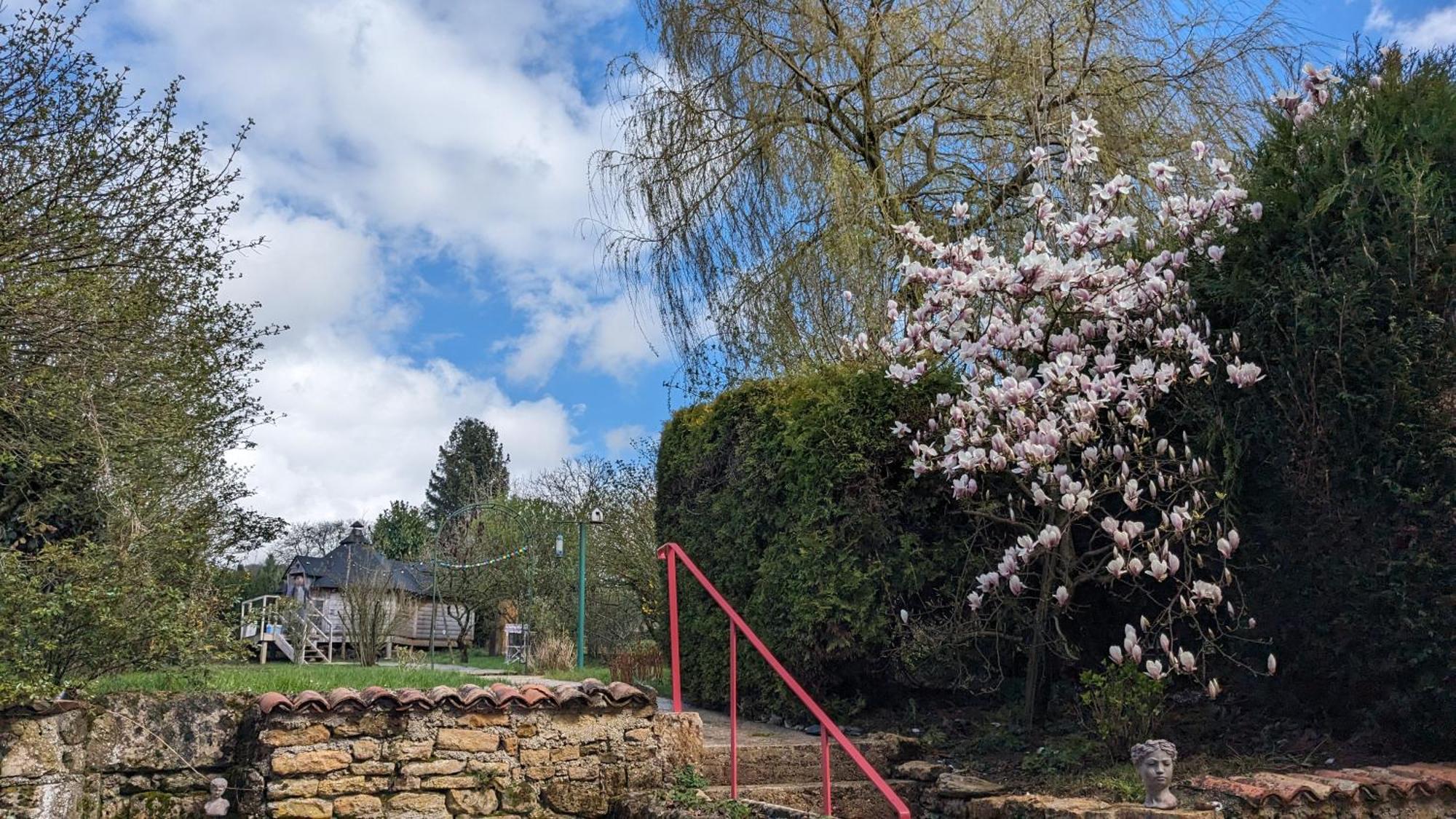 Gîte La Volette Moulins-Saint-Hubert Esterno foto